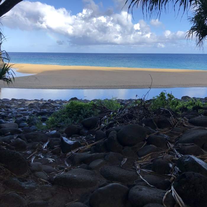 Near Hanakapi'ai Falls