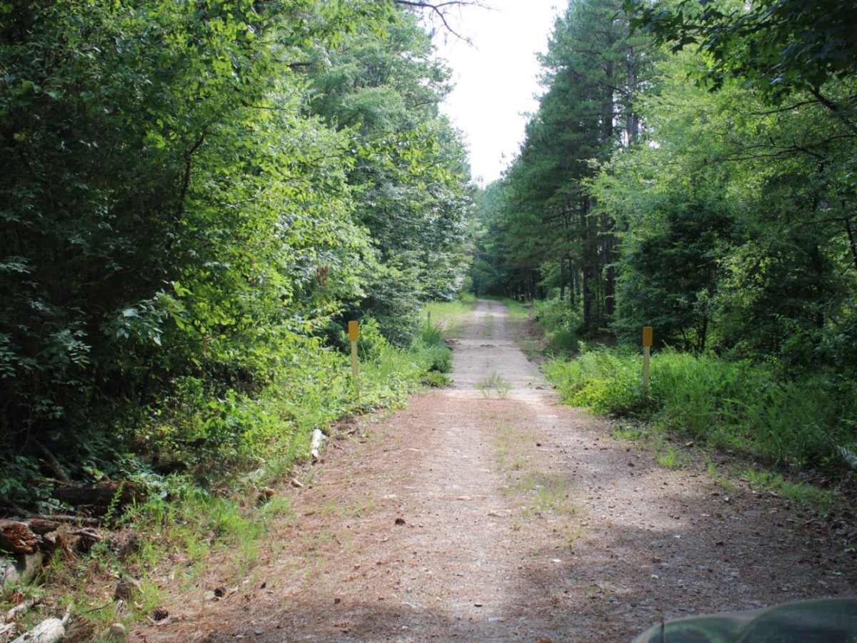 North Fork to Gladstone photo 4