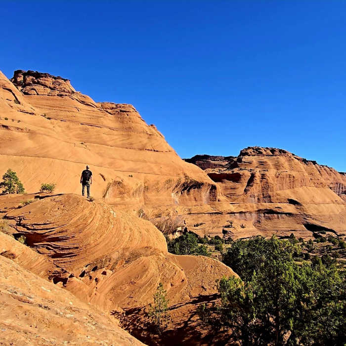 Near White House Trail