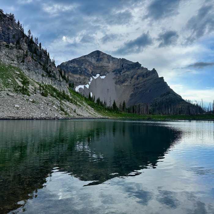 Near Continental Divide Trail: Spotted Bear Pass Alternate