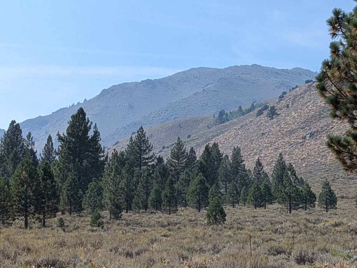 Buckeye Robinson Creek South photo 5