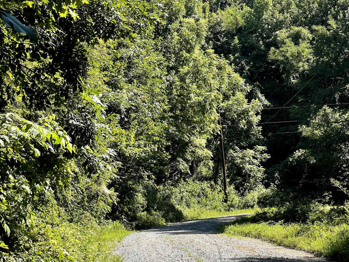 Rackett Branch Road photo 3