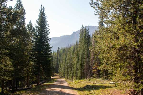 South Fork Rock Creek - FS 10143