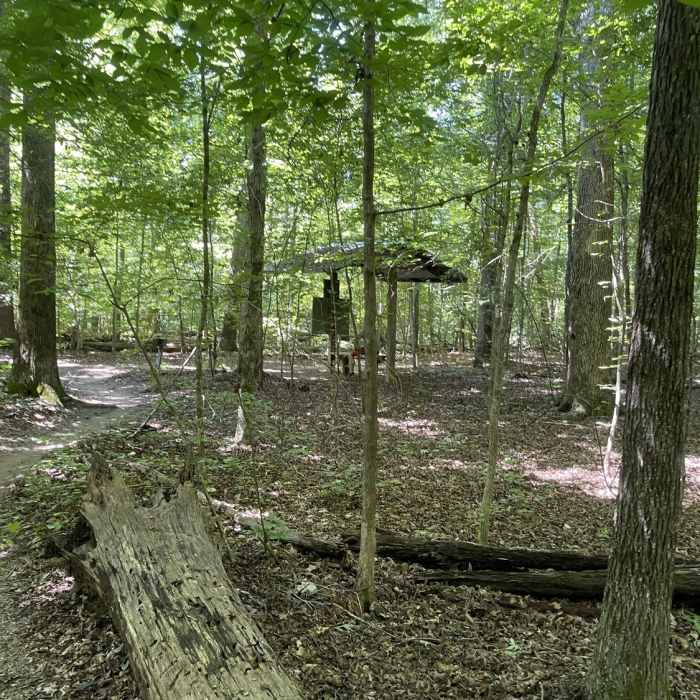 A second shelter on the White Trail. Near White Trail