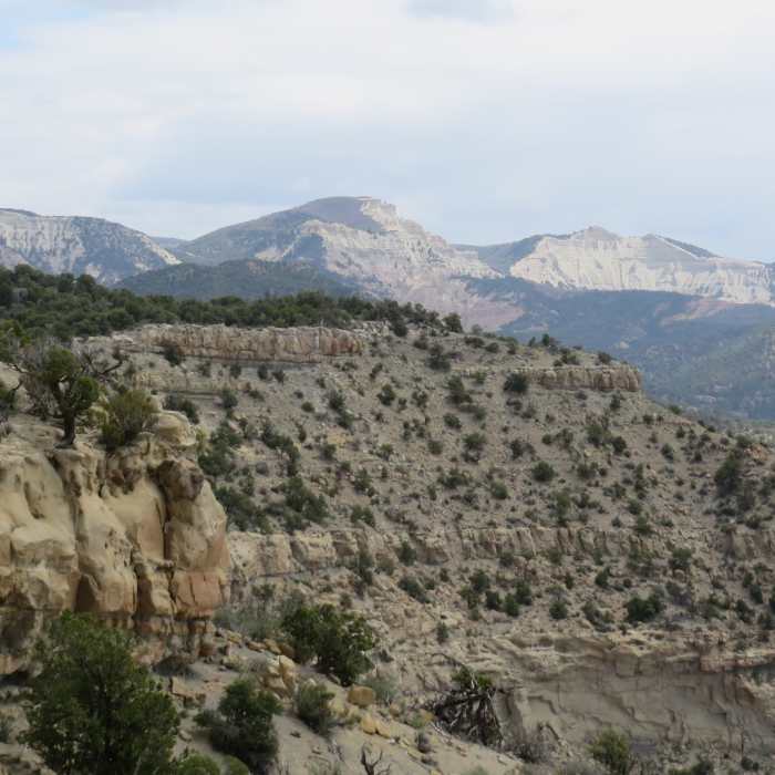 Near Sarlacc Trail