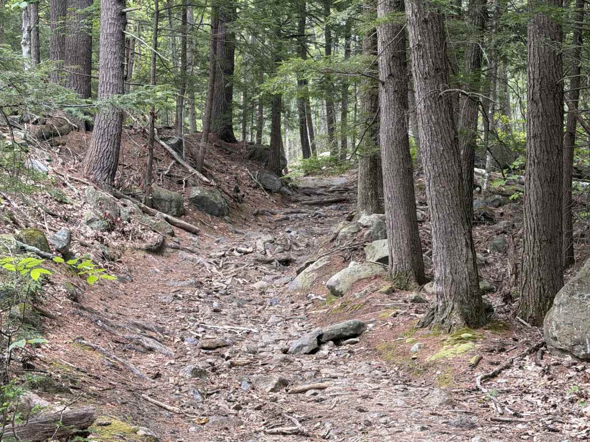 Bear Pond Road photo 2