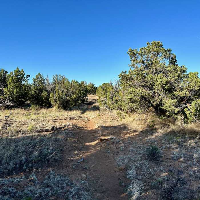 Near The Narrows Rim Trail
