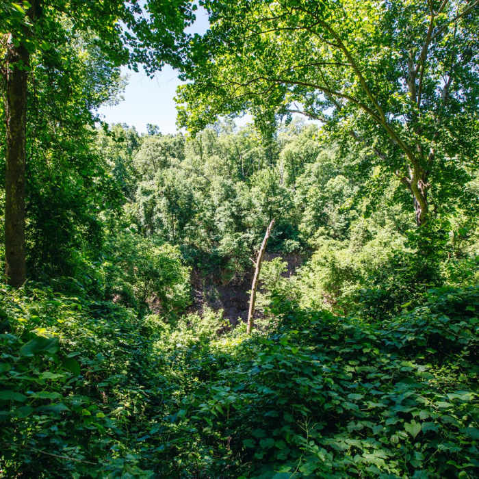 Near Grand Gulf State Park Near Grand Gulf State Park
