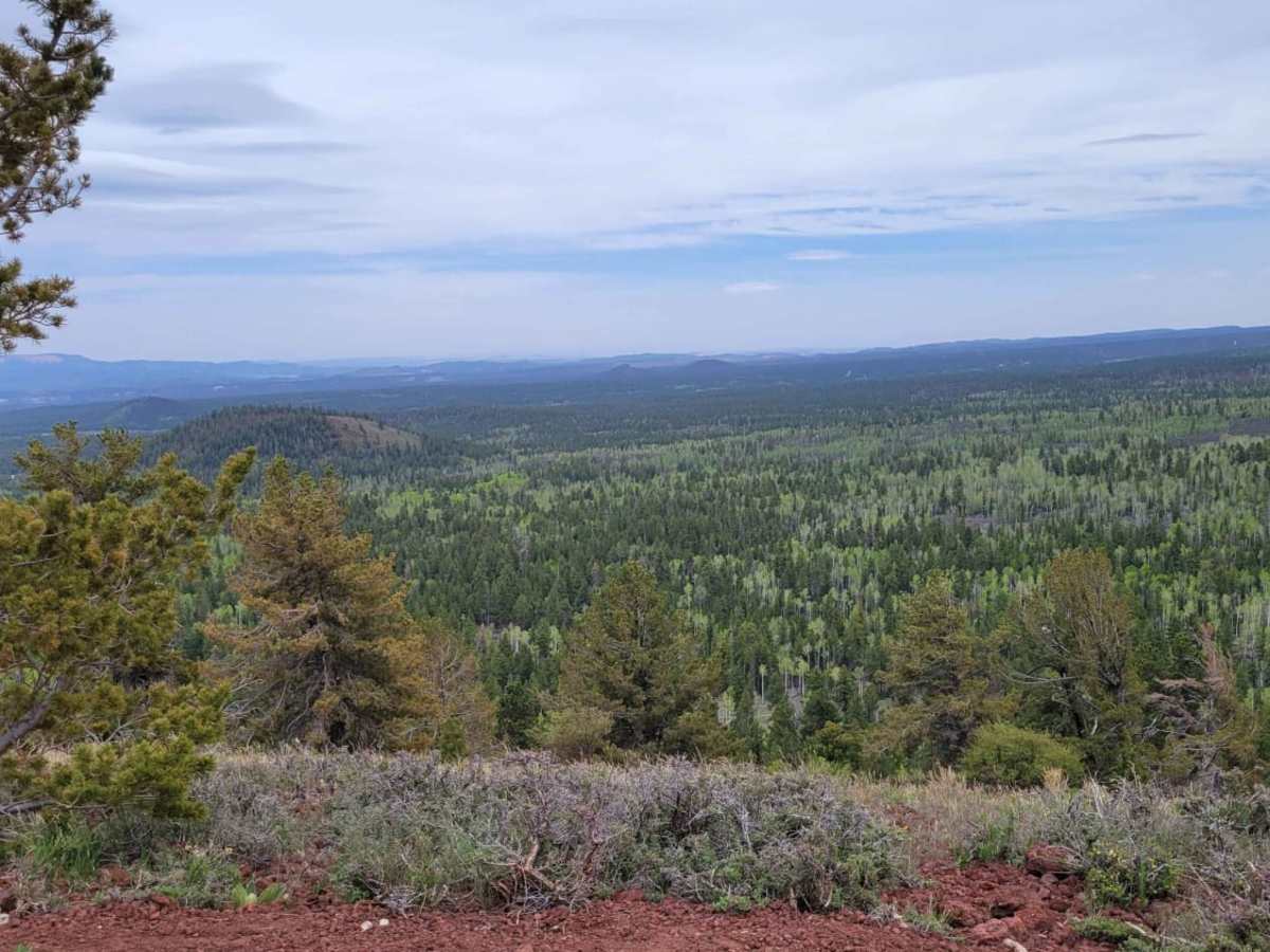 Henrie Knolls Summit photo 5