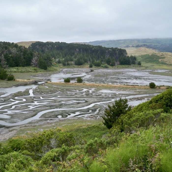 Near Estero to Sunset Beach