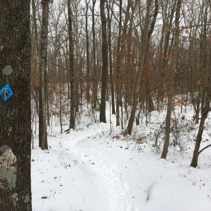 Near Land Between the Lakes Canal Loop