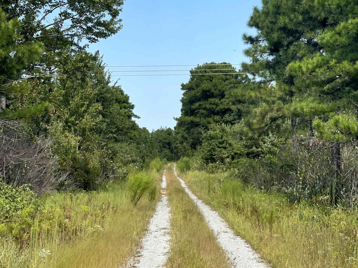 Hines Kiln Road trail photo