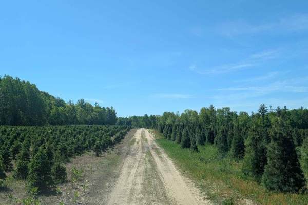 Decker Road - 571105