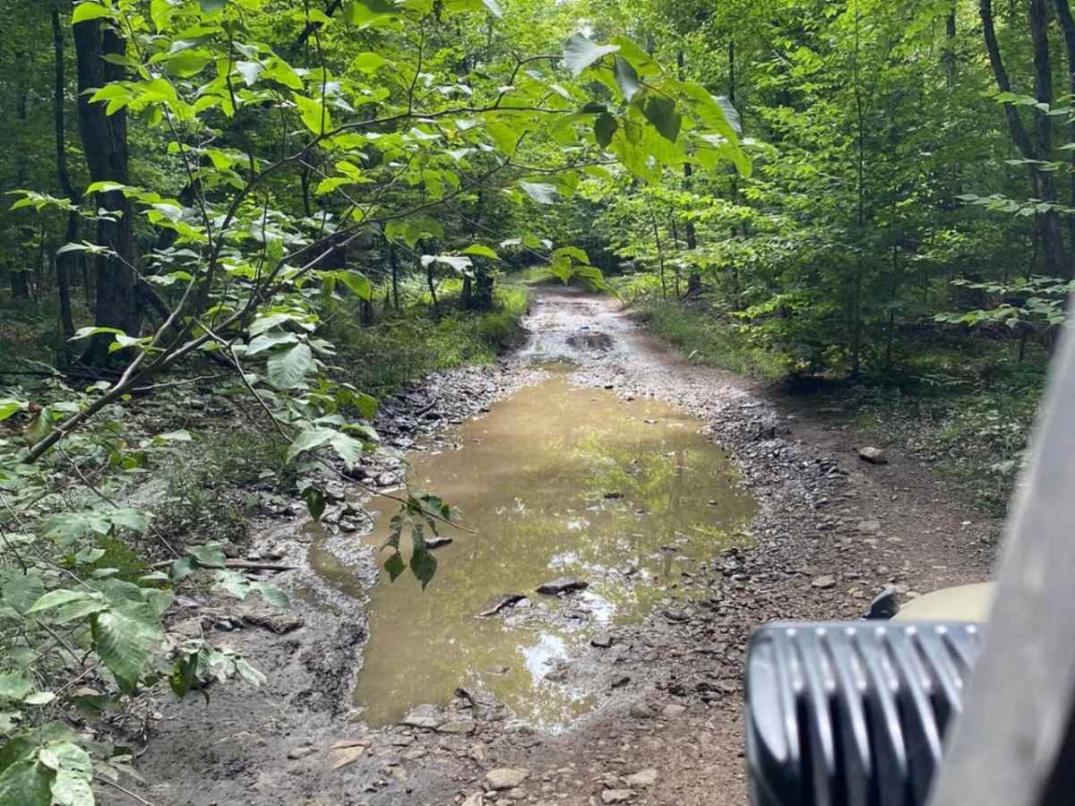 Walker Trail trail photo