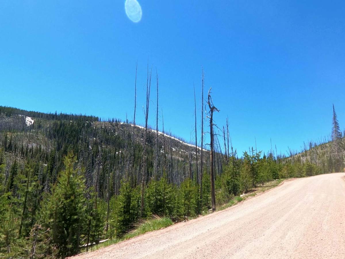 Skalkaho Highway / MT 38 trail photo