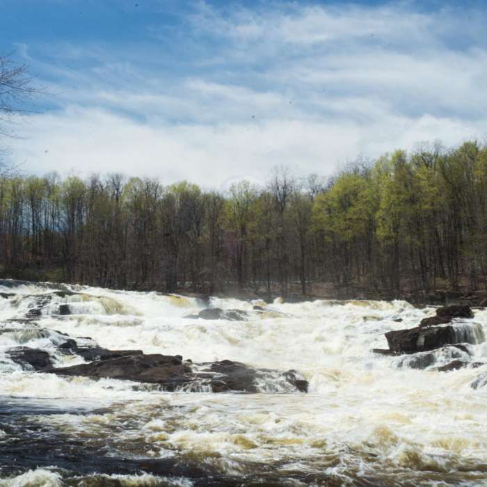 Near Stone Valley Recreation Area