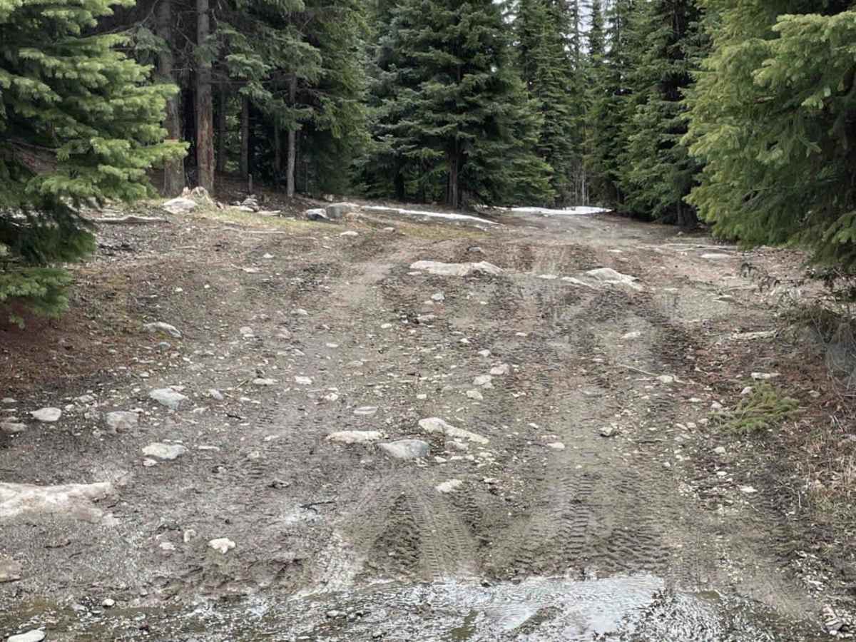 Moore Lake Rec site (from Posthill) photo 5