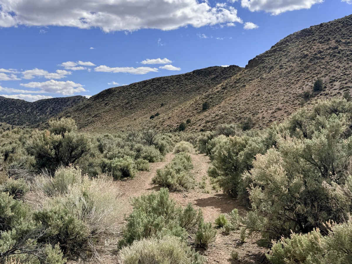  Four Mile Spring- FS 44018B photo 3