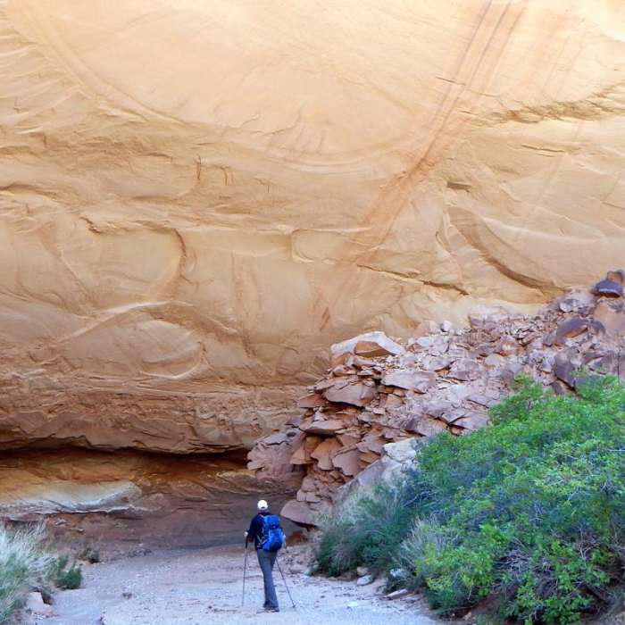 Near Lower Muley Twist Canyon Loop