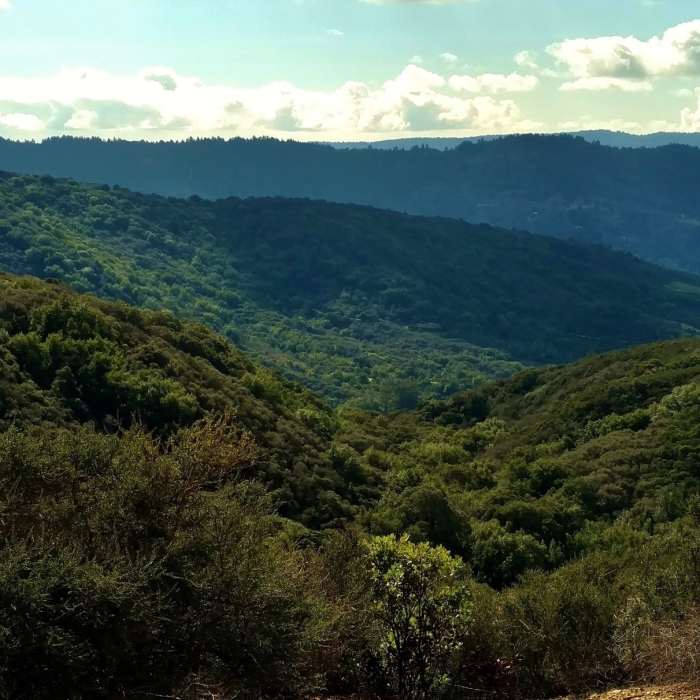 Near Priest Rock Trail