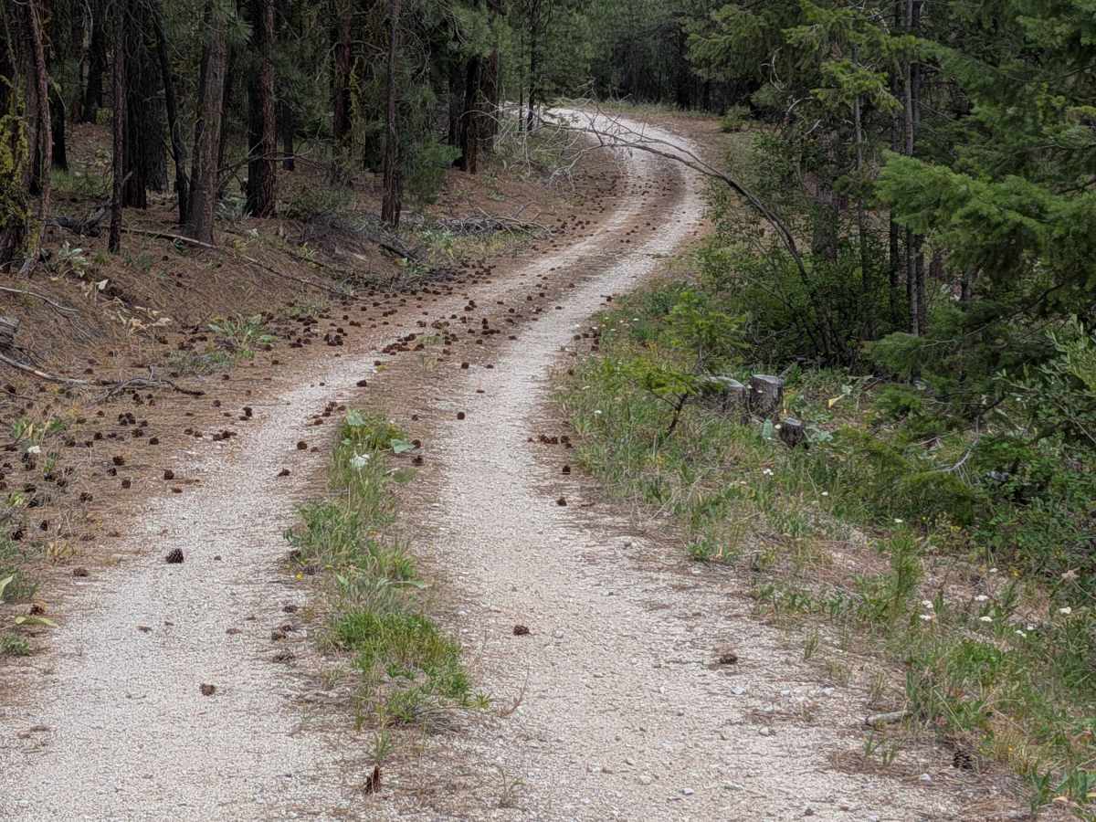 FS 4100-150 trail photo