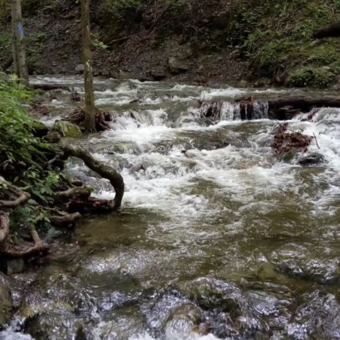 Near Money Brook Trail