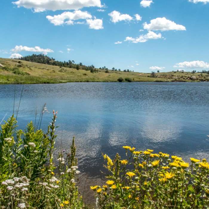 Near North Crow Reservoir Loop Near North Crow Reservoir Loop