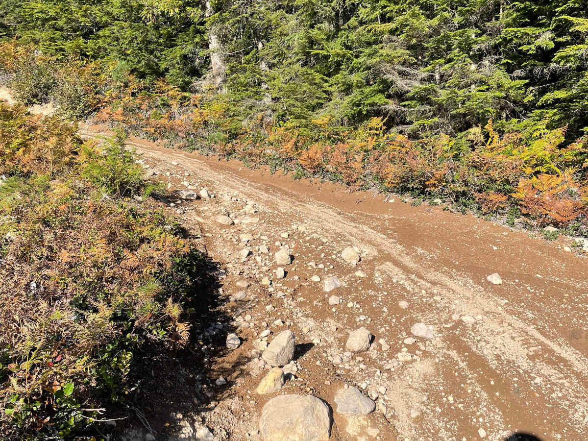 Mini Hill Climbs photo 6