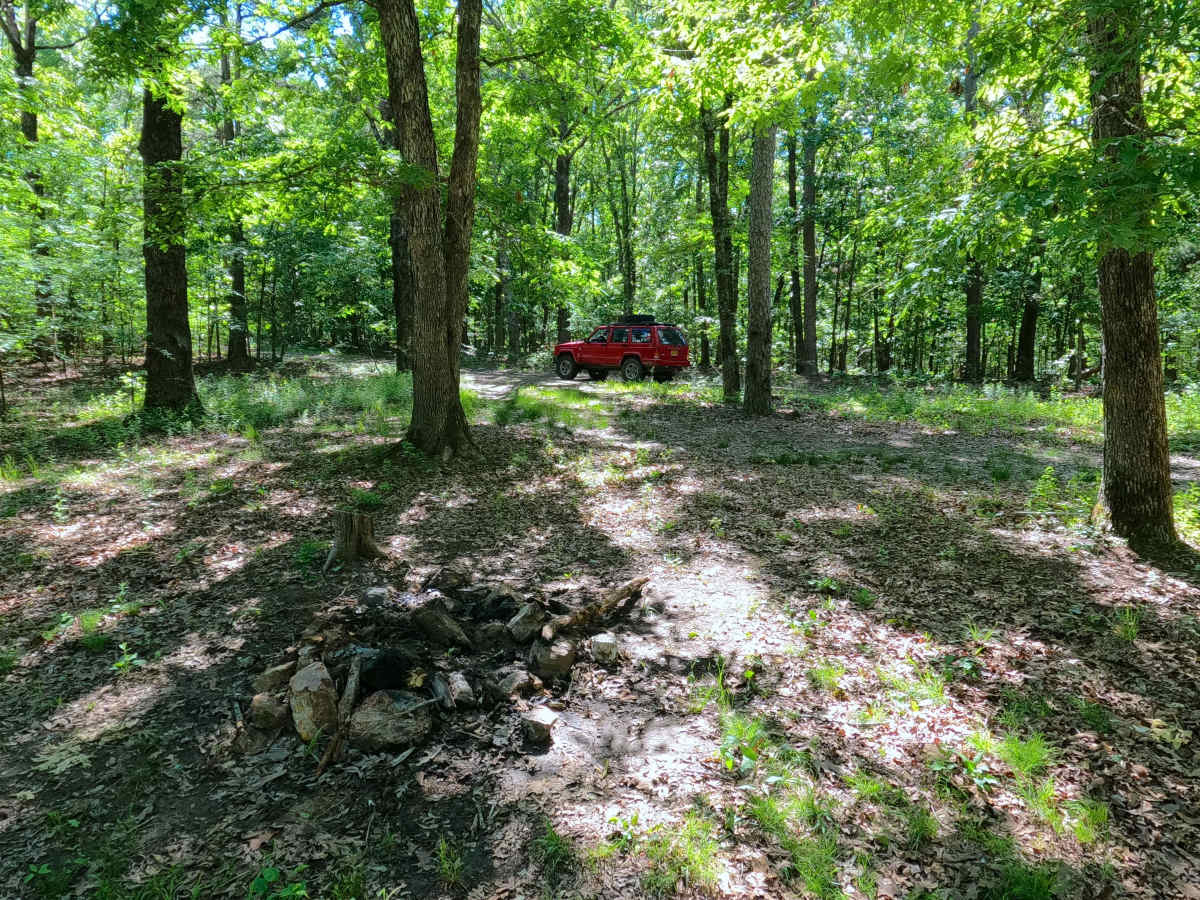 Pinhook - FS 3708 photo 5