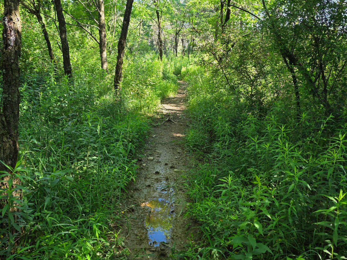 Single Track N photo 5
