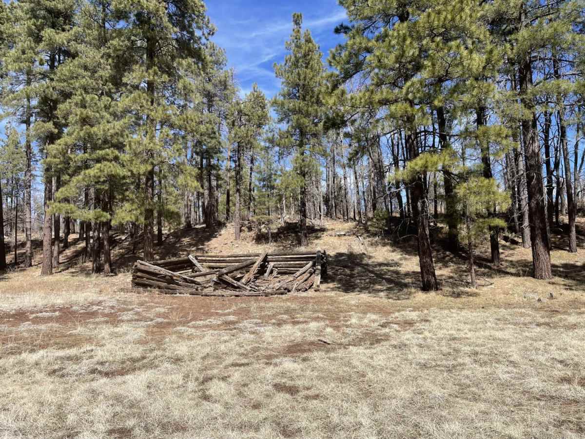 Gobbler Springs Road photo 6