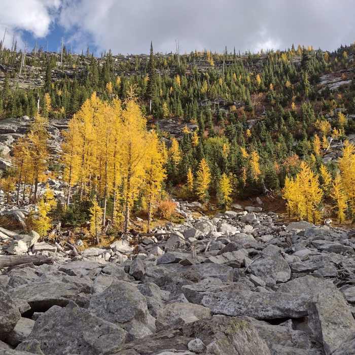 Near Roman Nose Lakes Accessible Trail
