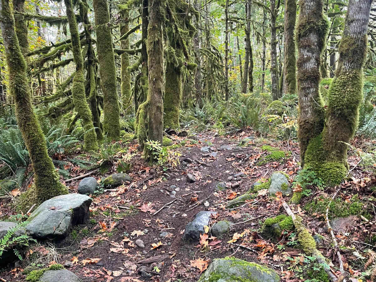 Come As You Are trail photo