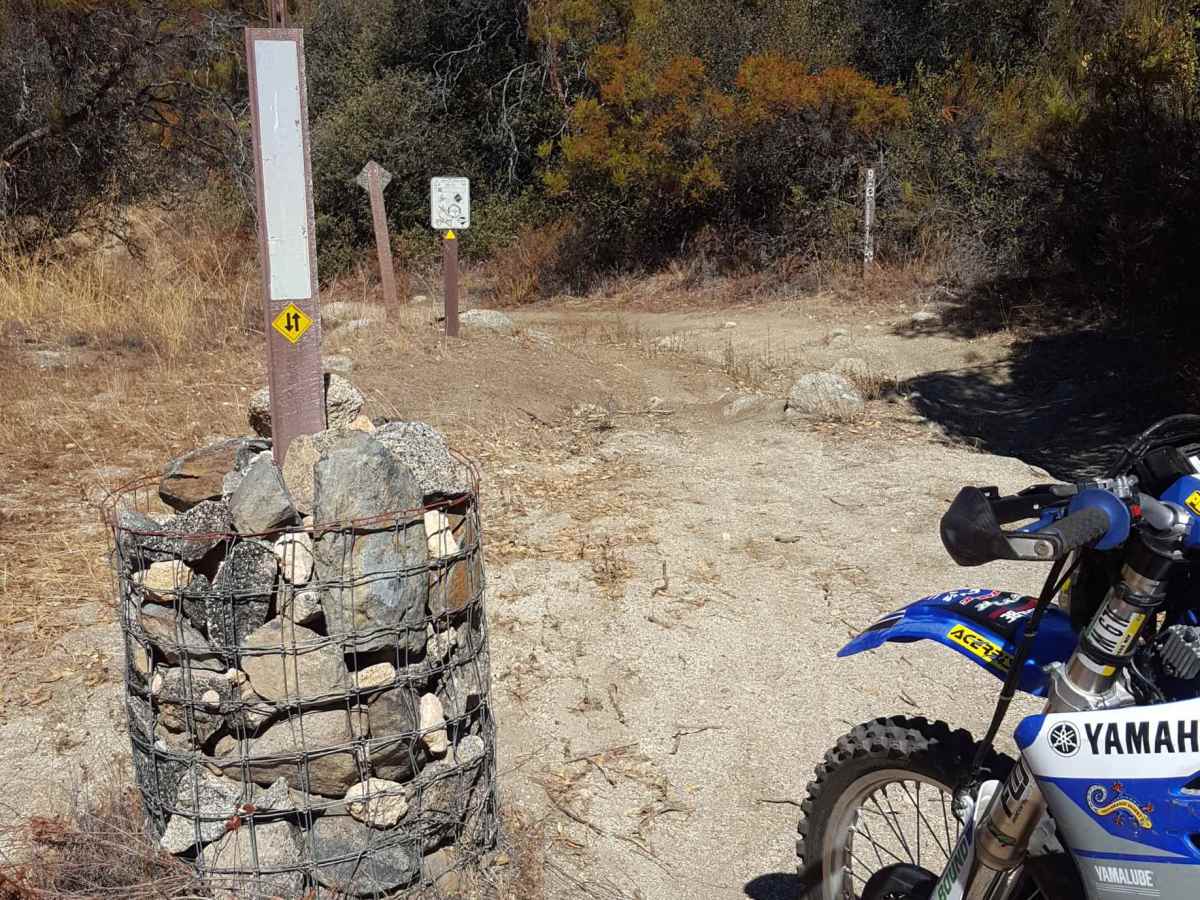 Sodbuster - Trail 9 photo 3