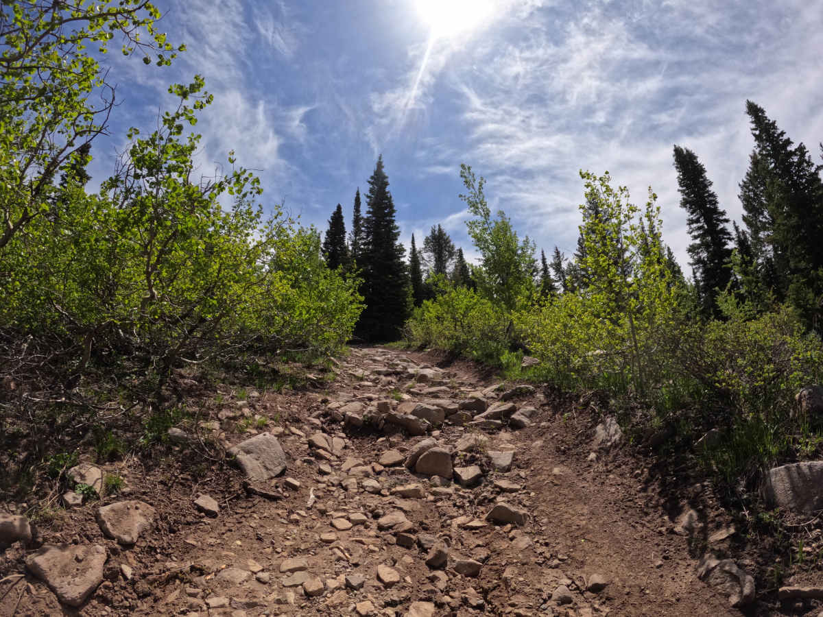Monte Cristo Mine photo 6