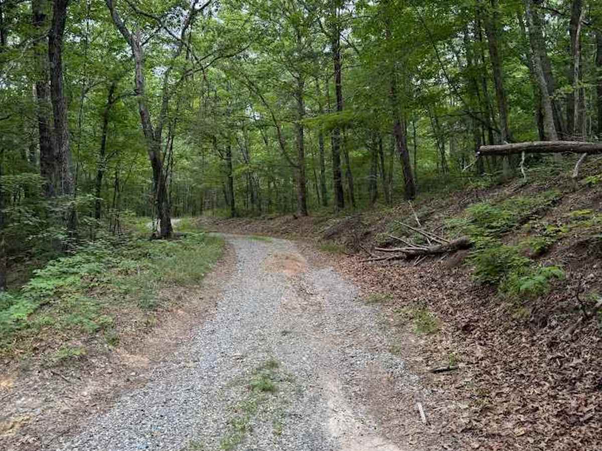 Peters Creek photo 6