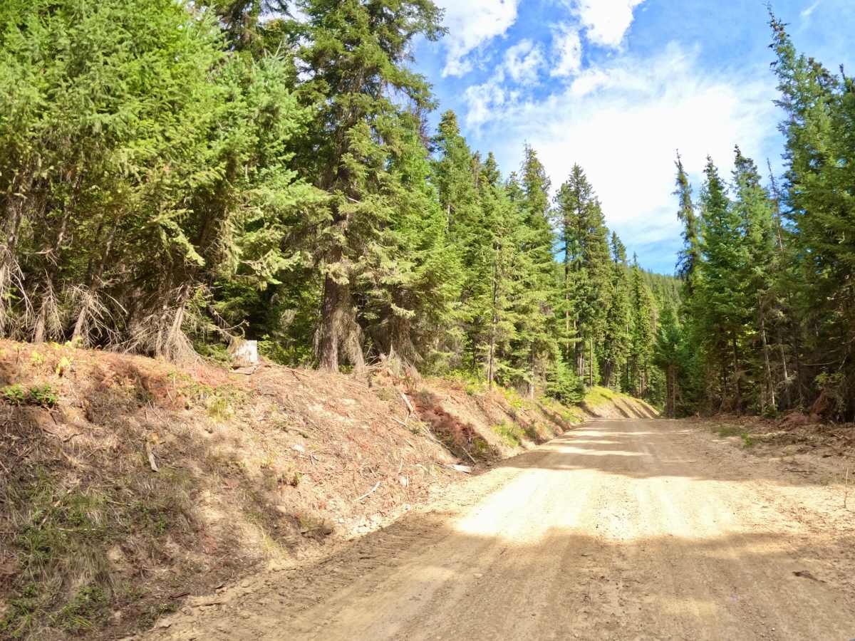 Ward Creek Trail photo 2