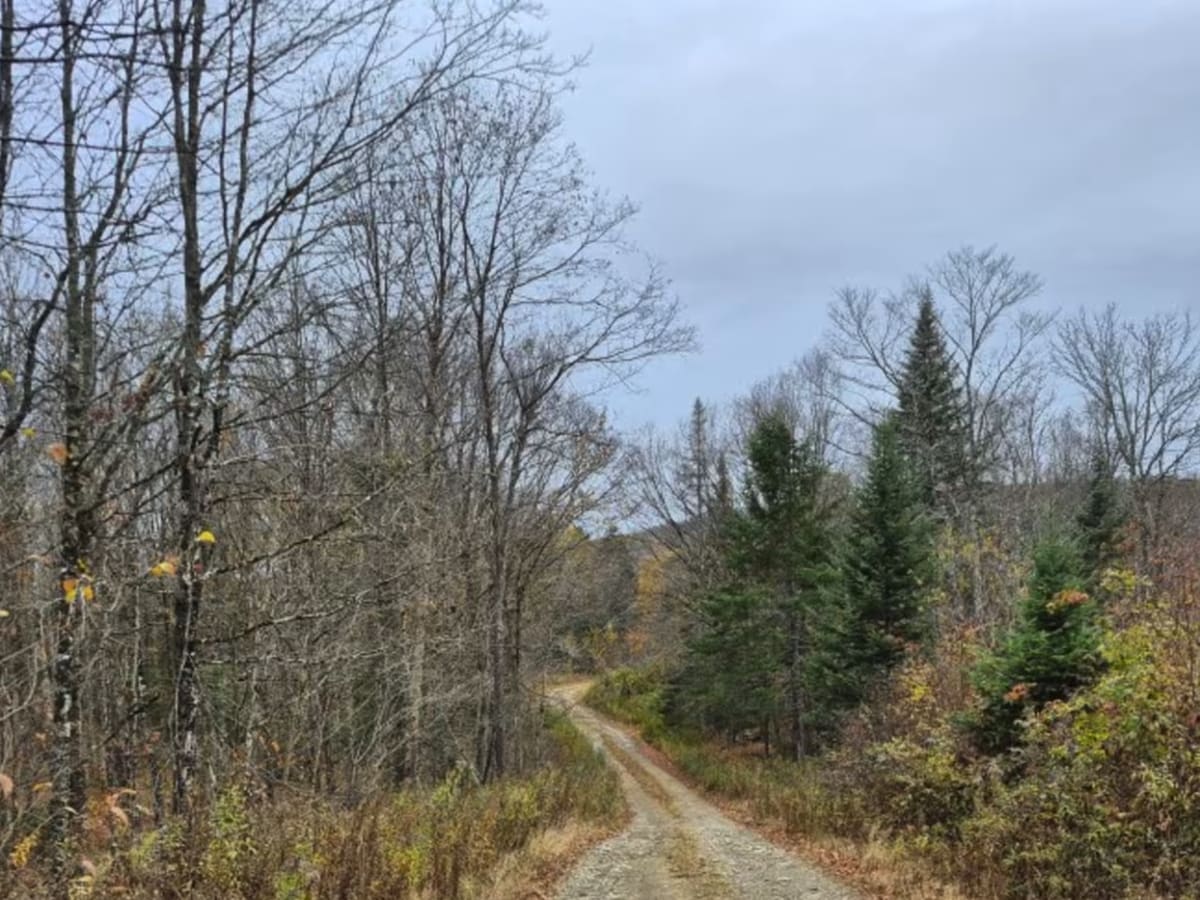 Pines Lake Road photo 5