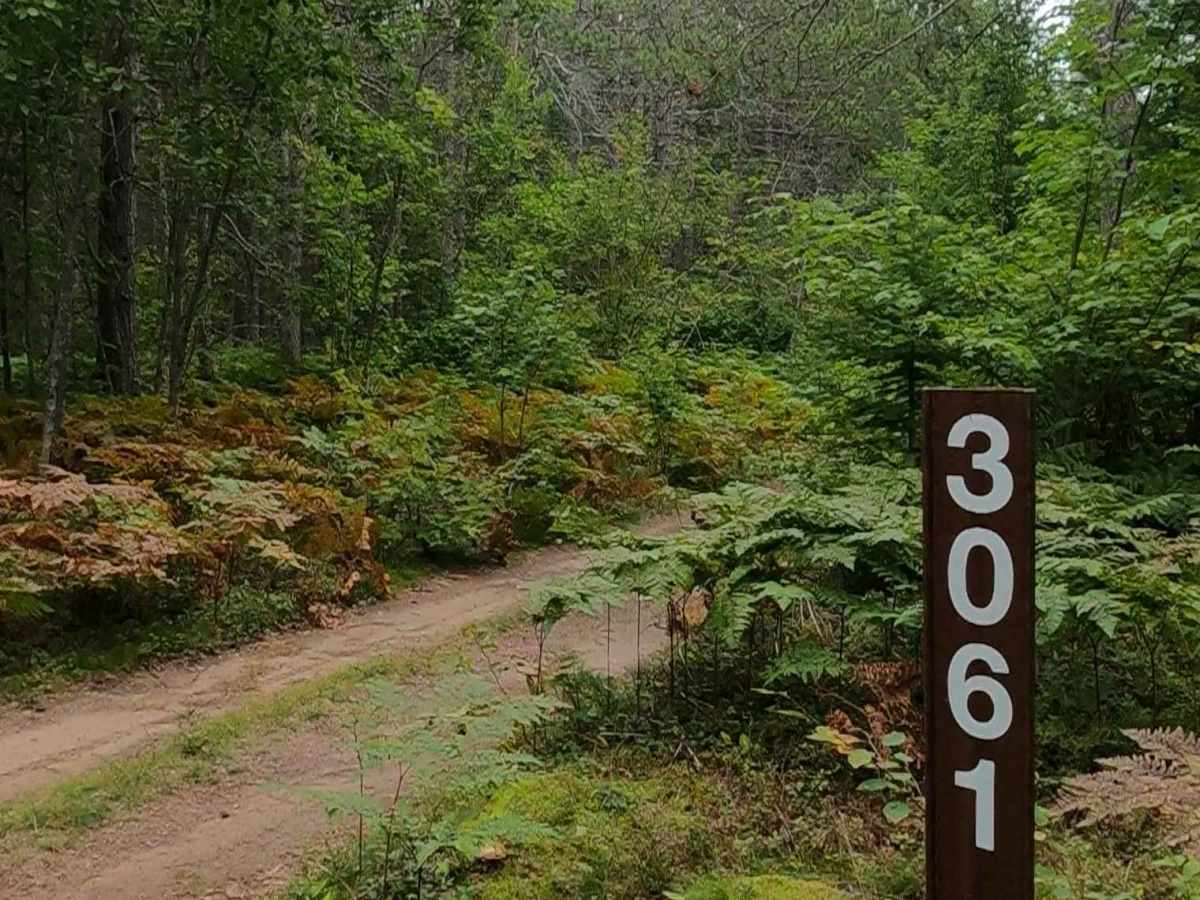 Russ - FS 3061 trail photo