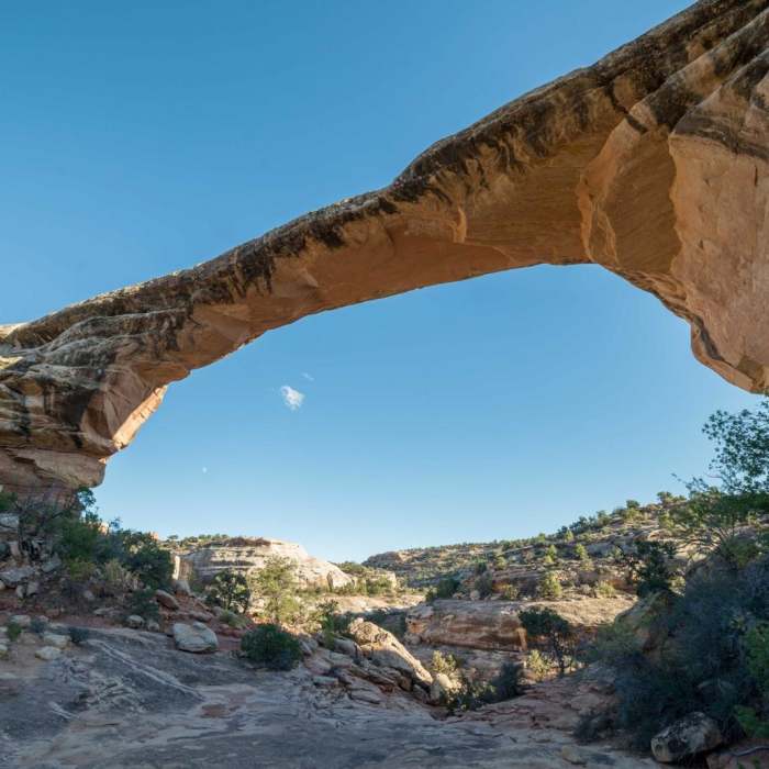 Near Owachomo Bridge Out and Back