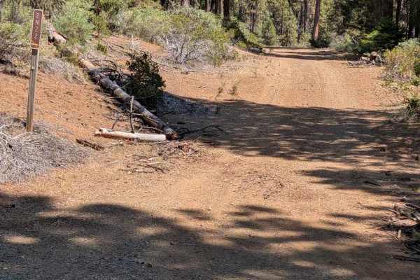 Camp Carter Road - FS 2N22