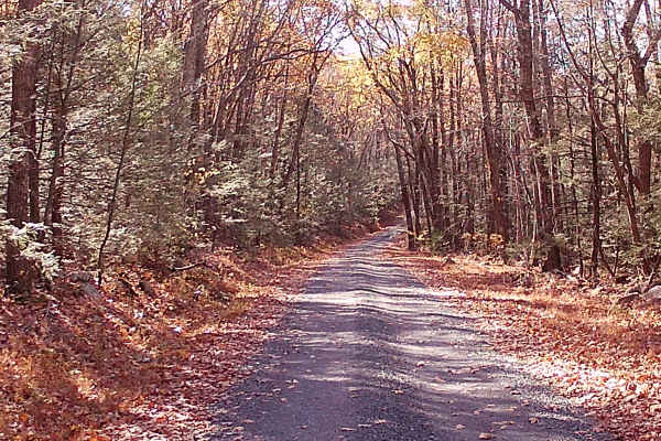 Coopers Gap Road