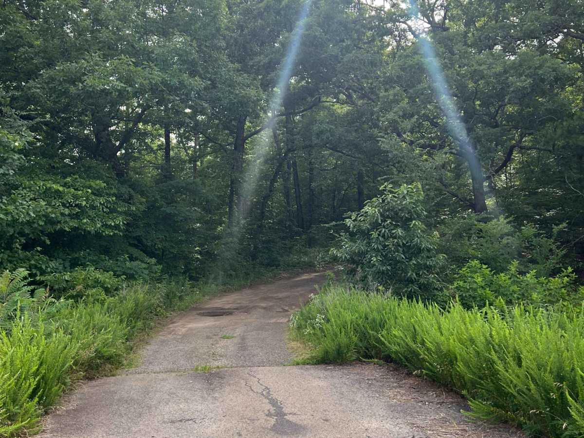Gunter trail photo