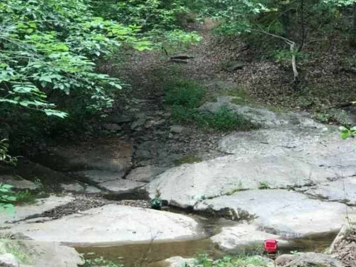 Enchanted Creek photo 3