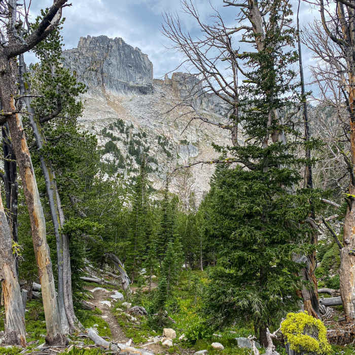 Near Long Branch Creek Trail (Gorge Lake Trail)