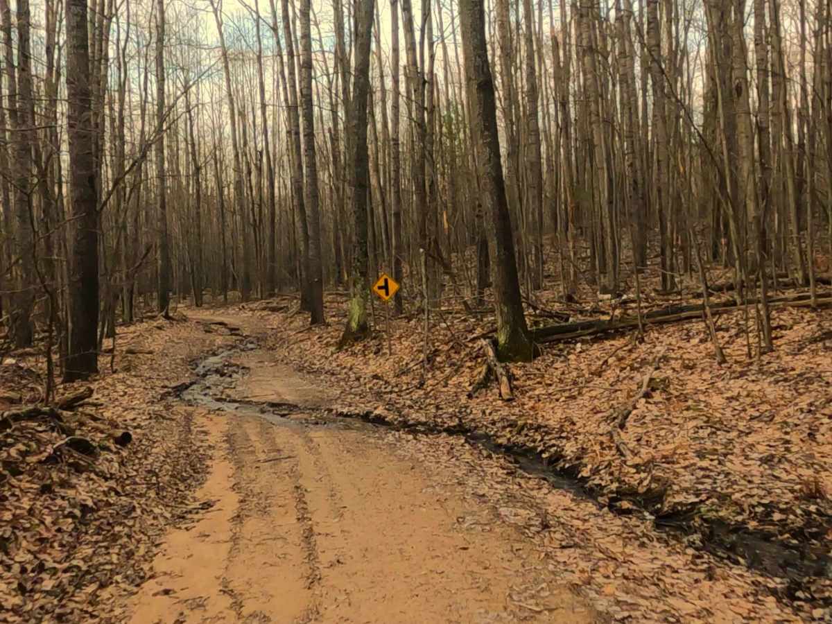 ORV H57 : Mack- McKinley Trail photo 3
