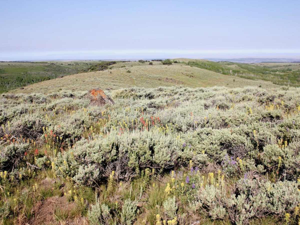 Fish Creek Gorge Overlook trail photo