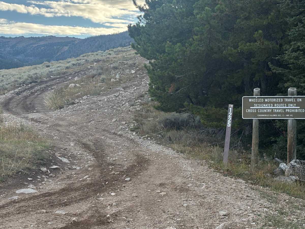 Blaine Mountain Road photo 2