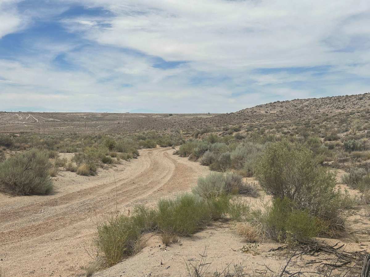 Earth Wash photo 2