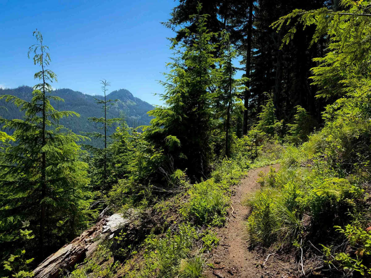 Silver Creek Trail - 258 trail photo